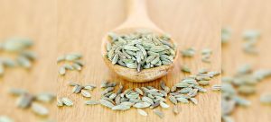 spoon of fennel seeds